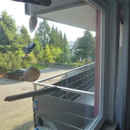 Moderne, Ruhige Ferienwohnung In Braunlage Harz Inkl Wlan & Netflix Luaran gambar