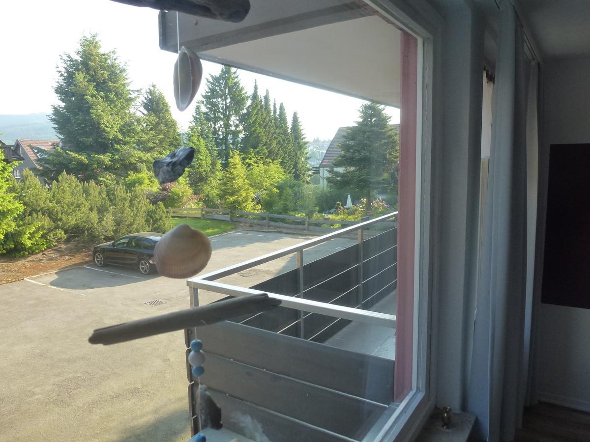 Moderne, Ruhige Ferienwohnung In Braunlage Harz Inkl Wlan & Netflix Luaran gambar