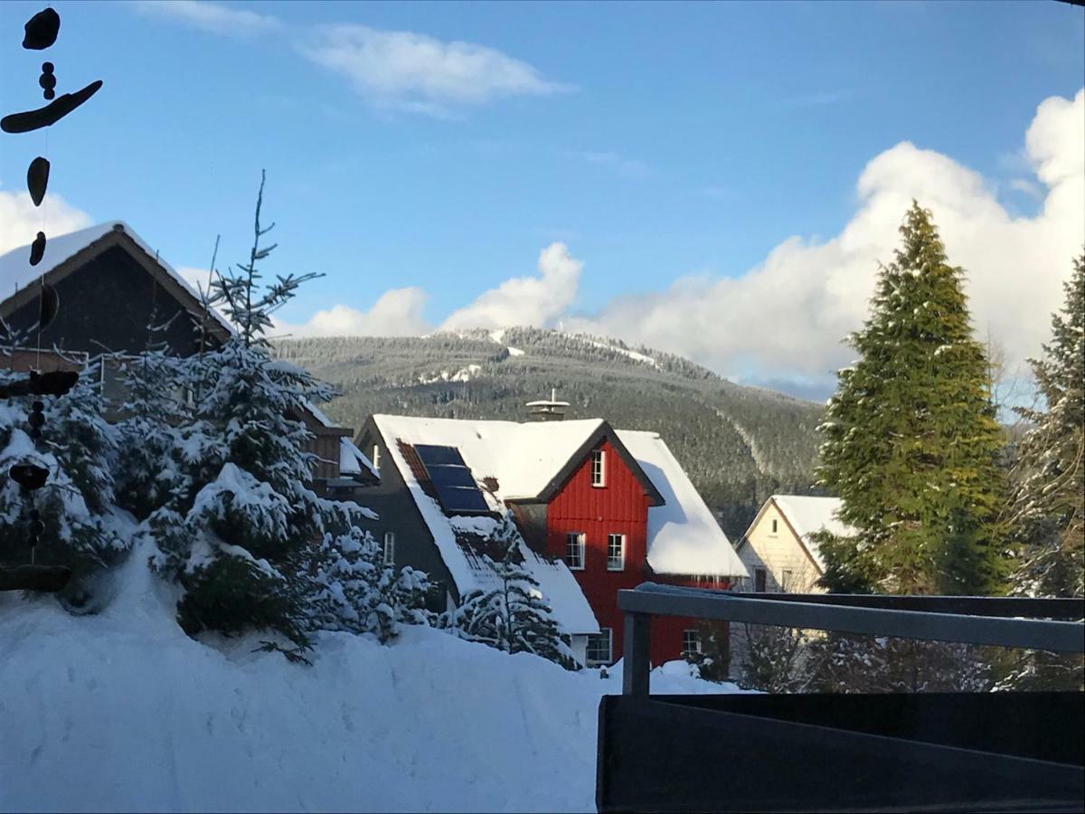 Moderne, Ruhige Ferienwohnung In Braunlage Harz Inkl Wlan & Netflix Luaran gambar